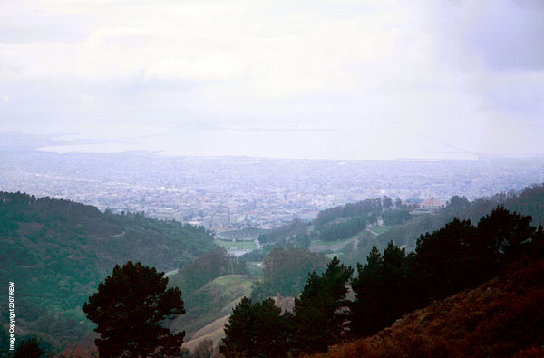 Strawberry_Canyon_and_the_Bay