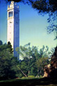 Campenile_from_Faculty_Glade
