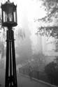 Fog_Fac_Glade