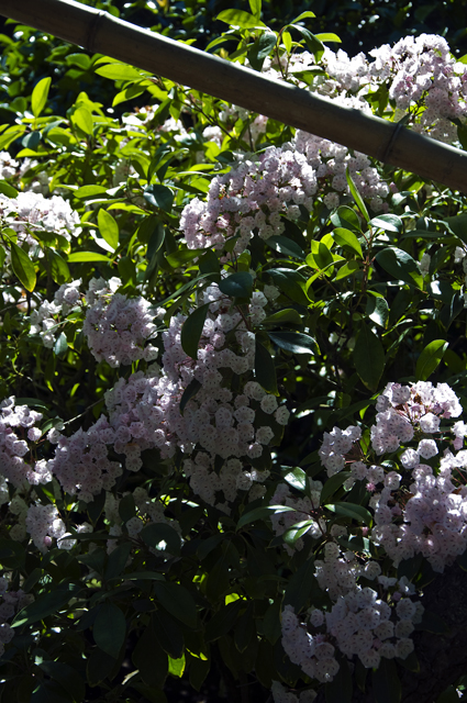 166_new_B_DSC_0119