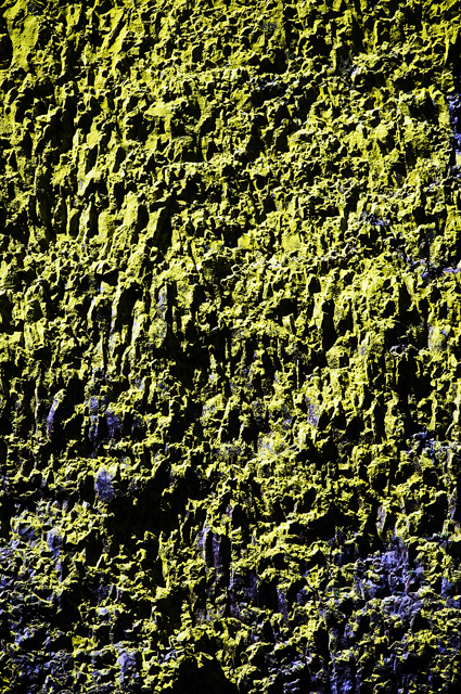 9_new_DSC_0031