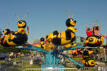 Bee Ride