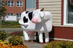 Cow statue