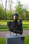 Falconer Raven