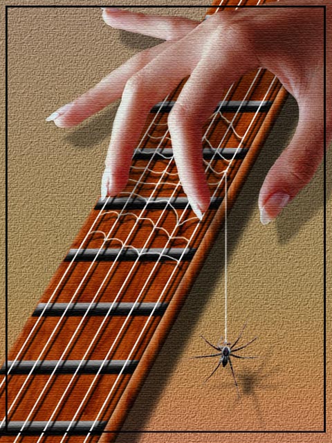 String Web