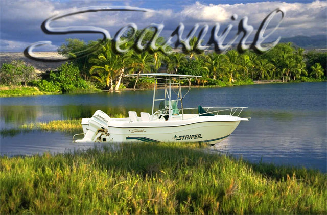 Seaswirl
