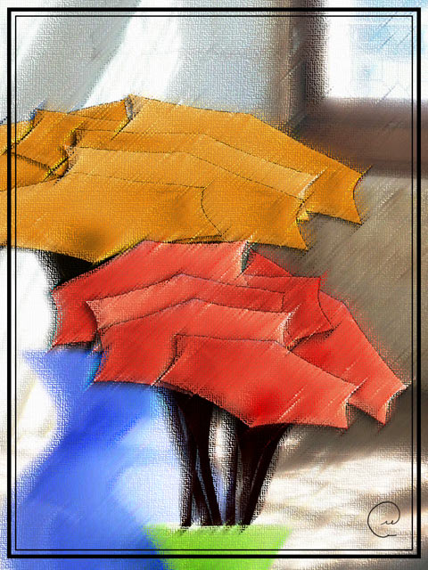 Canopy Flowers