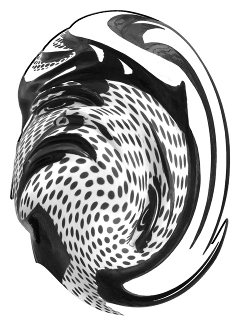 Picasso Twirl 