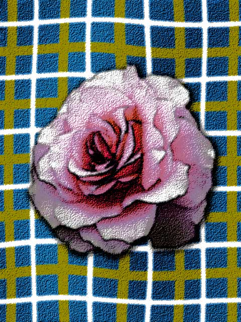 Plaid Rose