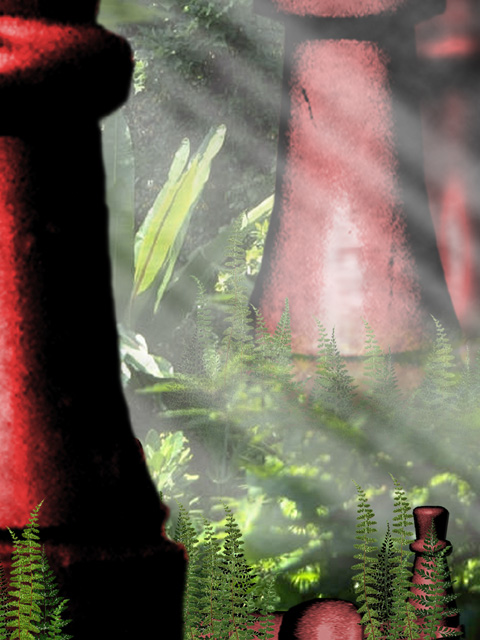 Chess Redwoods