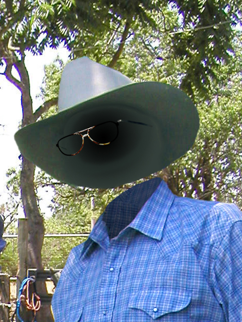 Invisible Cowboy