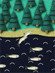 Coho Return