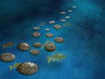 Stepping stones & koi