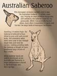 Saberoo Document