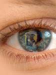 Car Eye Reflection